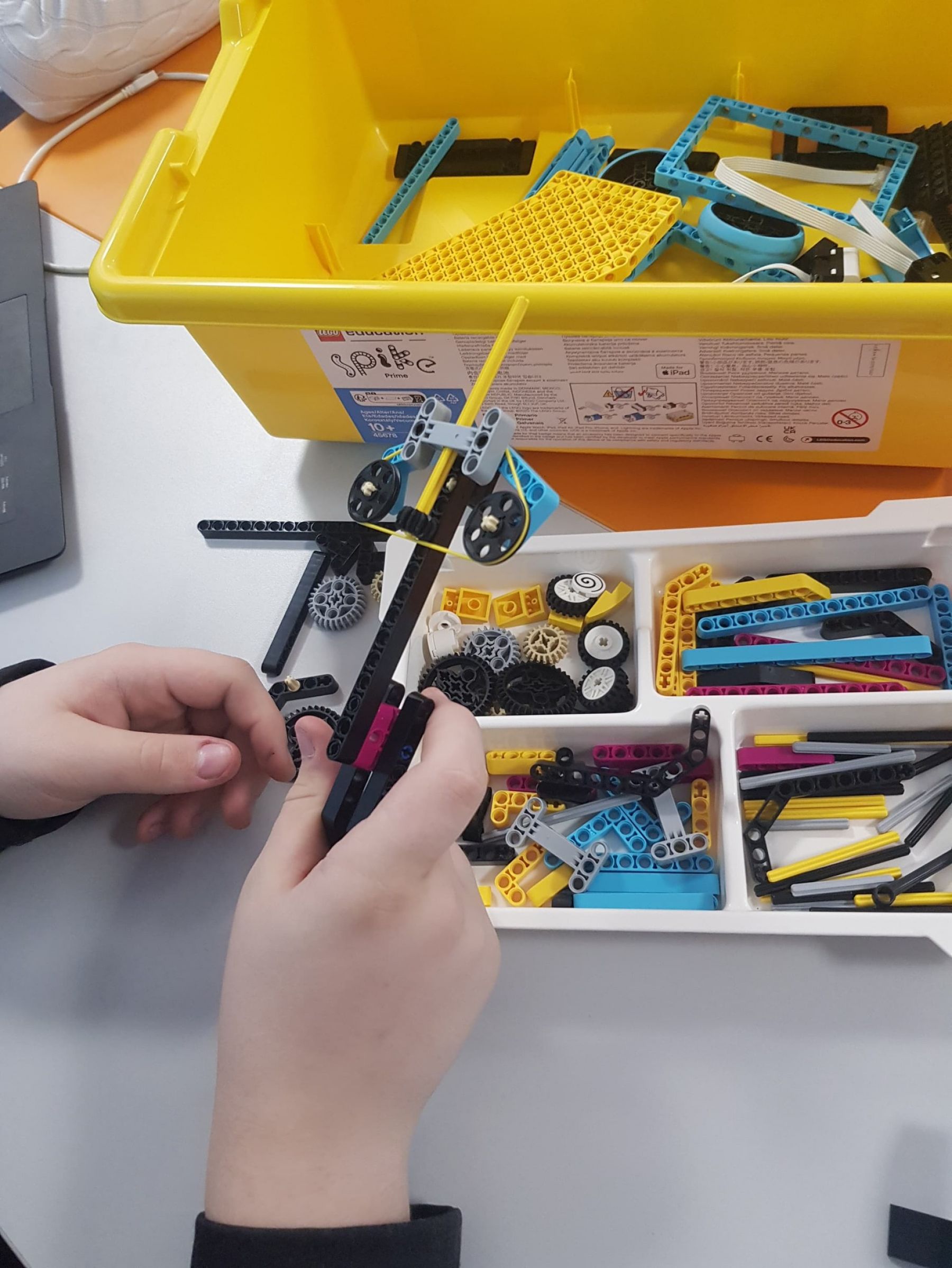 Miniaturka — warsztaty uniwersytet WSB