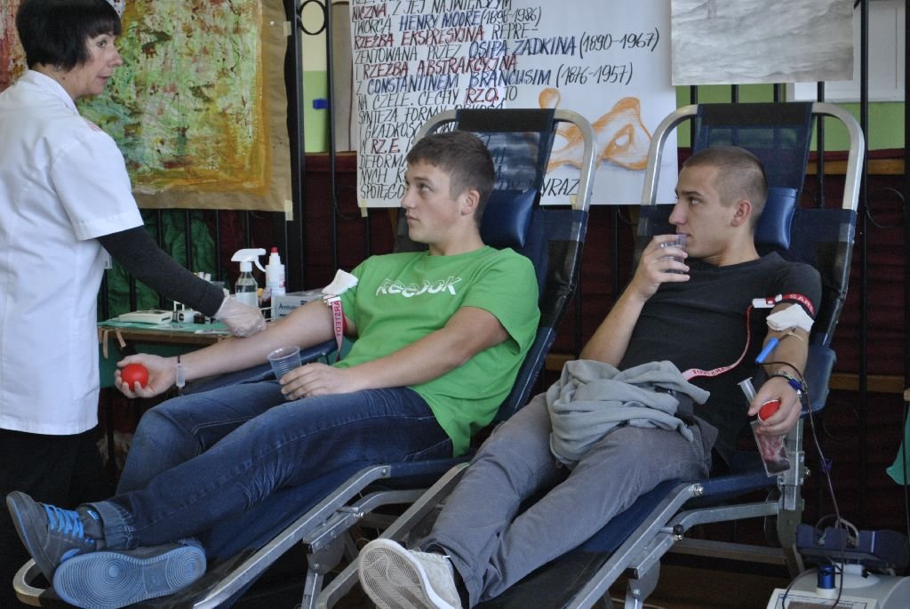 Miniaturka — 2012/2013 - Krwiodawstwo