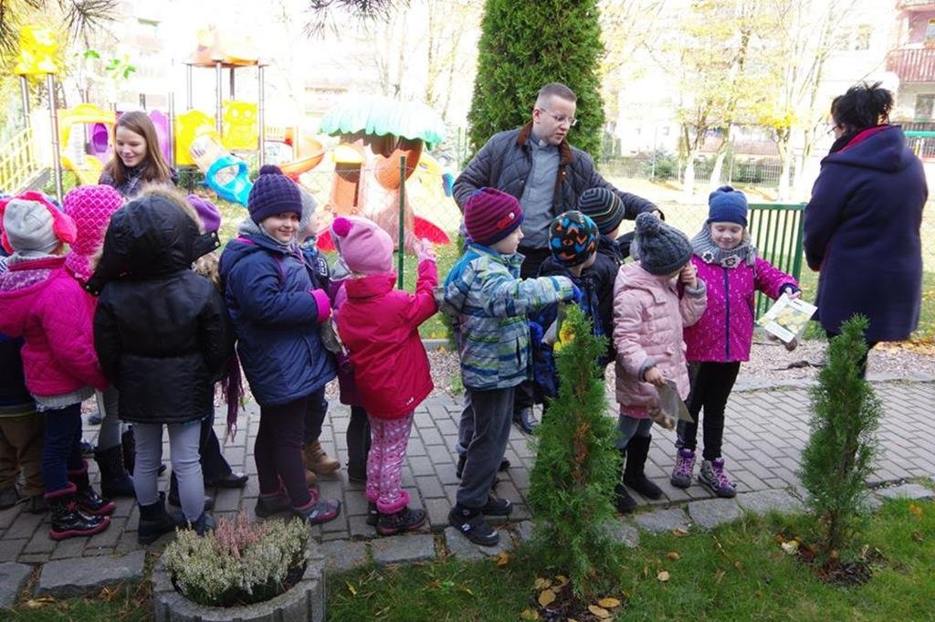 Miniaturka — 2016/2017 - Żonkilowe pole z przedszkolakami